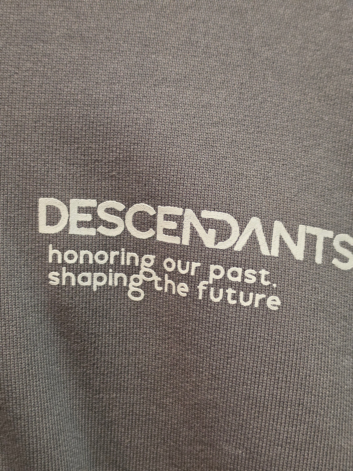 Descendants Hoodie gray